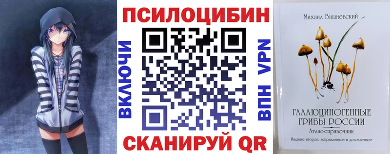 OMG вход  Нариманов  Псилоцибиновые грибы прущие грибы 